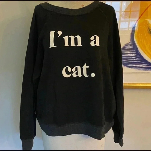 WILDFOX Women’s I’m a Cat Black Sweatshirt Jumper Pullover Sweatshirt Si… - Picture 2 of 3